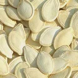 Ash Gourd Seeds