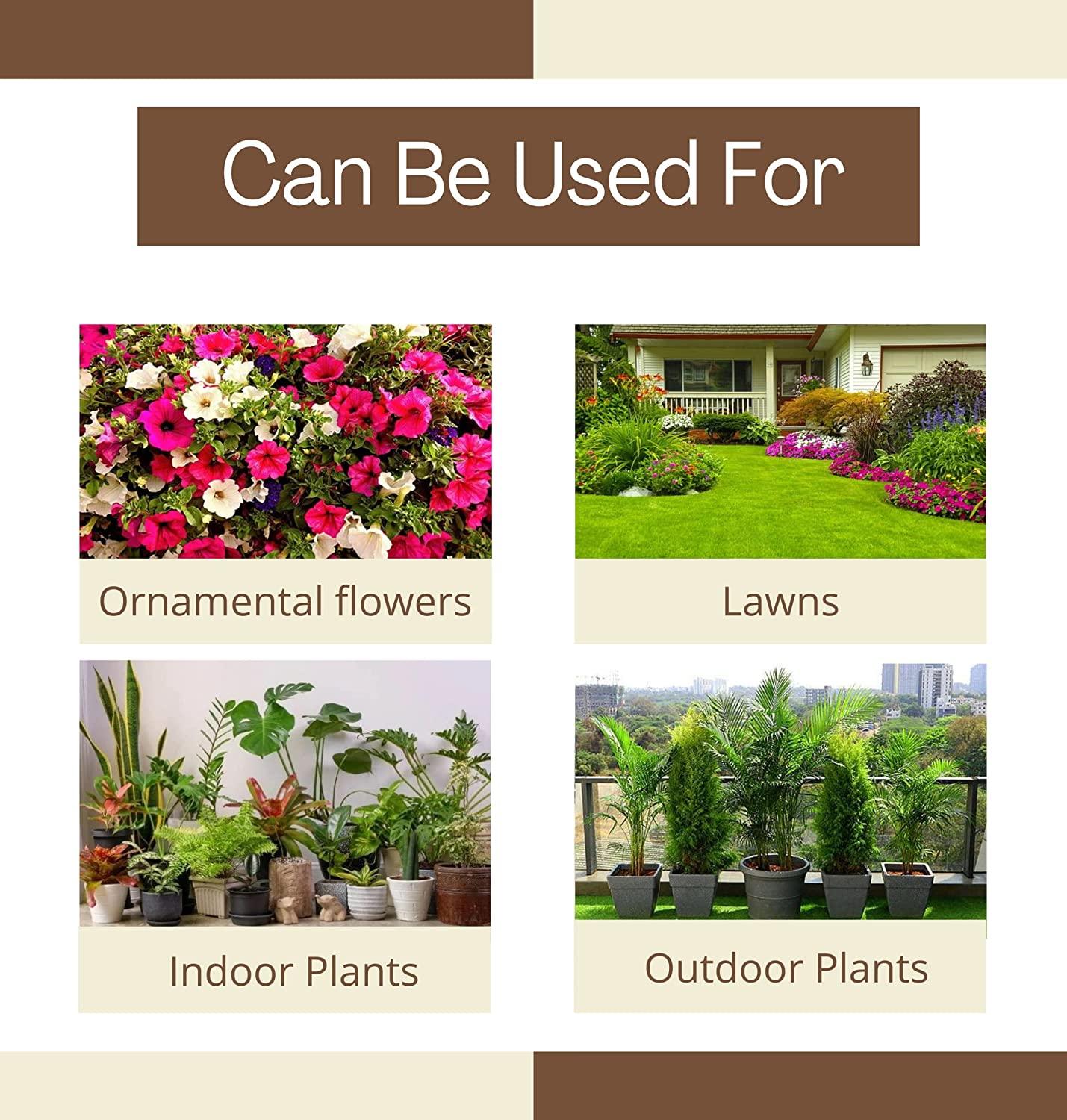 Free Seed with cocopeat Powder 1kg for Gardening Food Care INDIA