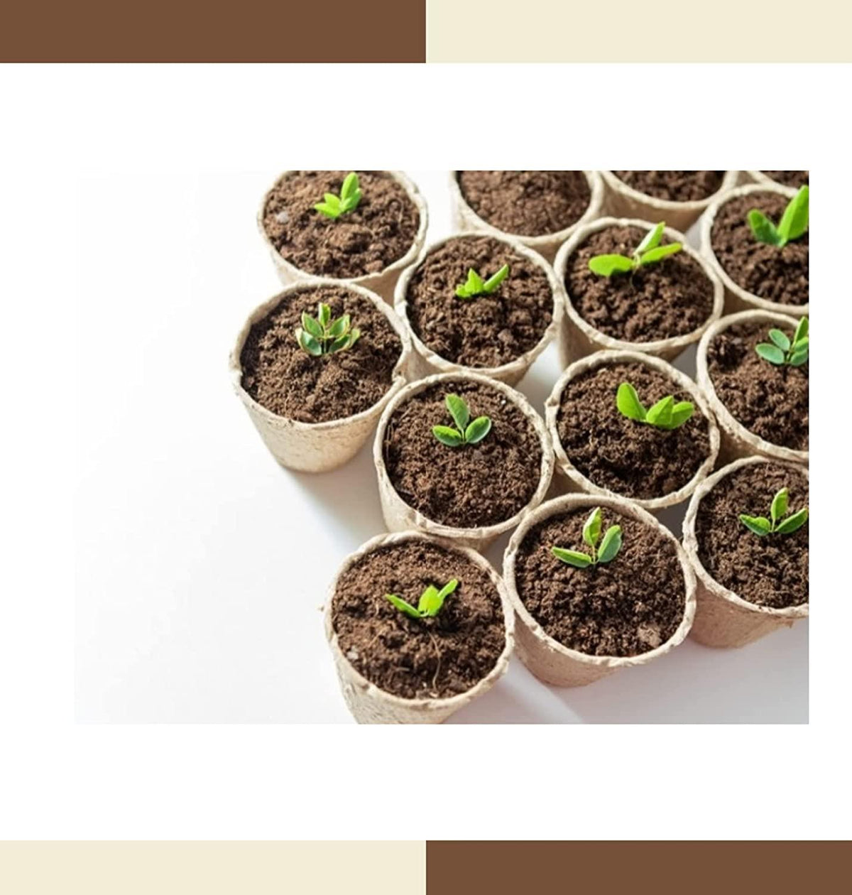 Free Seed with cocopeat Powder 1kg for Gardening Food Care INDIA