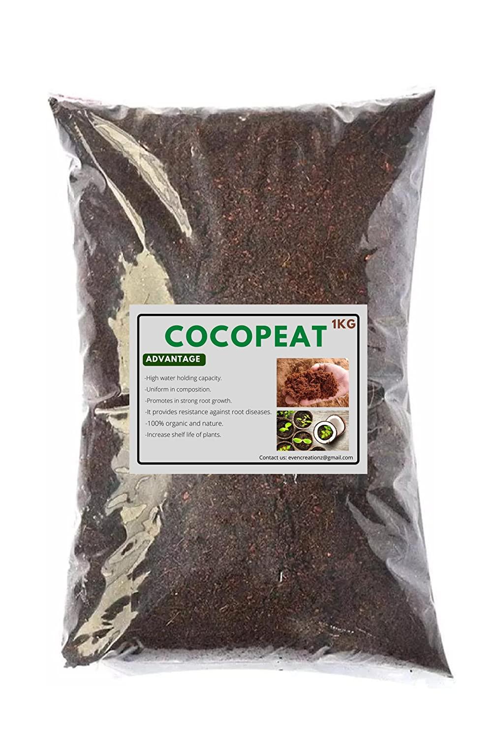 Free Seed with cocopeat Powder 1kg for Gardening Food Care INDIA