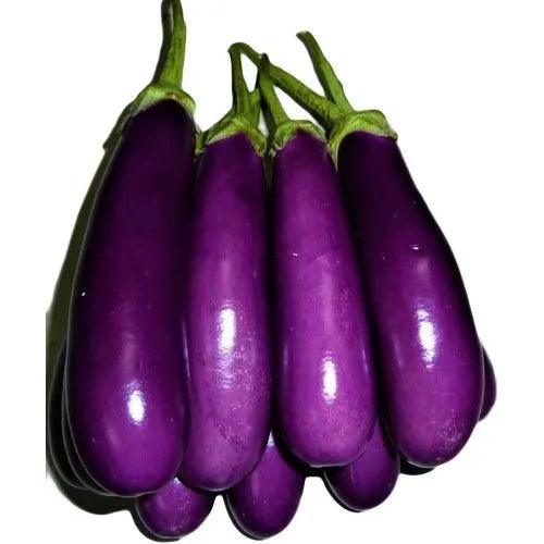 Brinjal Purple Long Seed Food Care INDIA