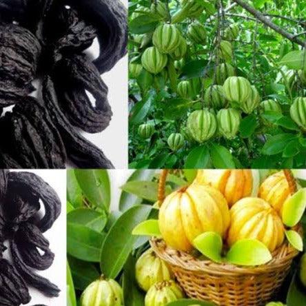 Malabar Tamarind (Kudam puli) Food Care INDIA