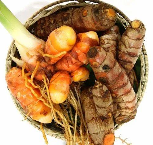 Lakadong Turmeric Seed 1Kg Pack Food Care INDIA