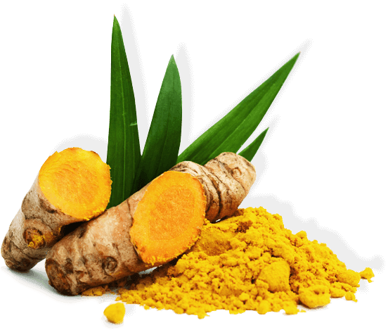TURMERIC POWDER Food Care INDIA