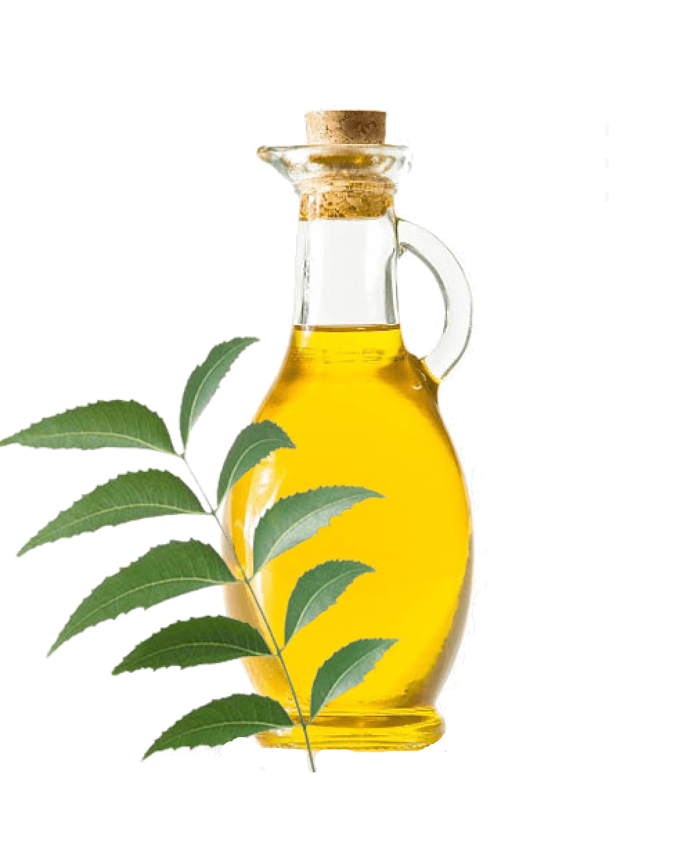 Neem Oil- Veppenna