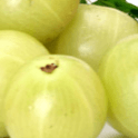 Amla Powder 250gm Pck Food Care INDIA