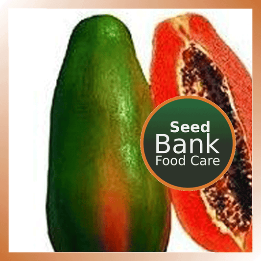 Red Lady Papaya seeds - Food Care INDIA