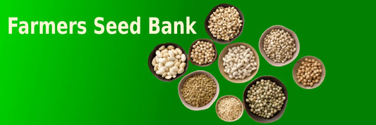 Free seed distribution has made a big difference in our country