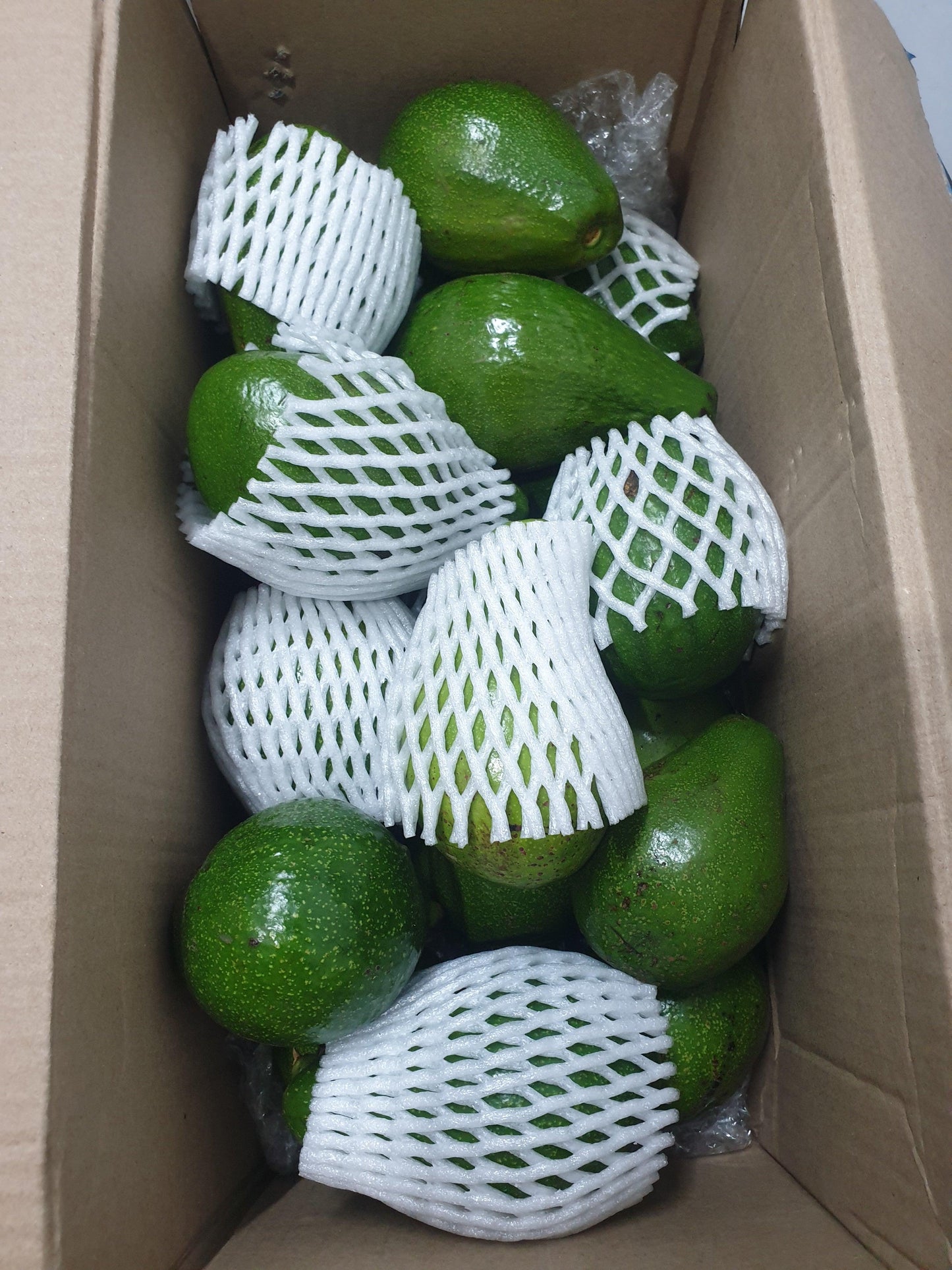 Avocado fruit 4 Kg Box