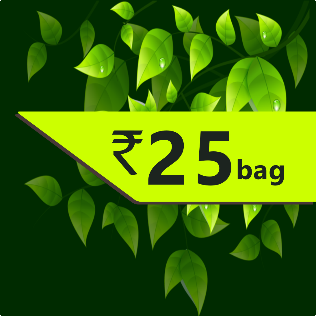 Spices bag-Anise seed- Rs. 25