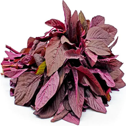 Amaranthus Red seed