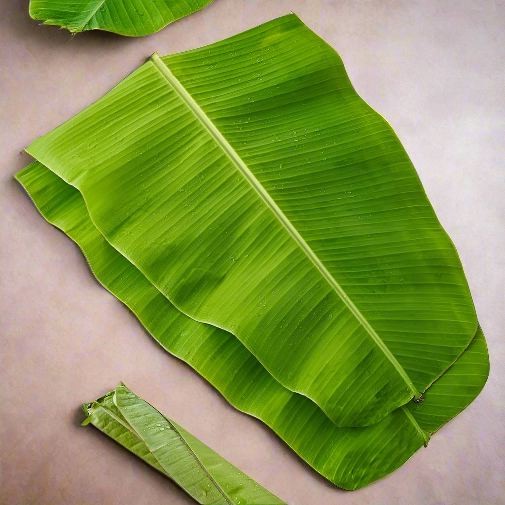 Banana Leaf