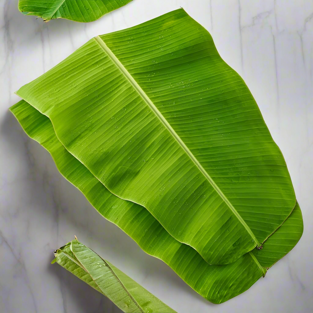 Banana Leaf