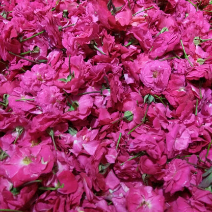 Flowers One Food Care INDIA