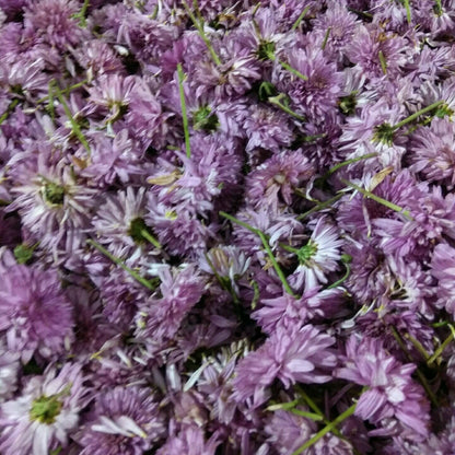 Flowers One Food Care INDIA