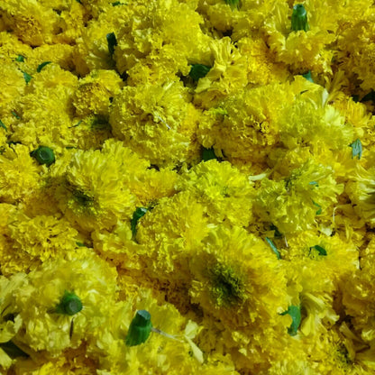 Flowers One Food Care INDIA