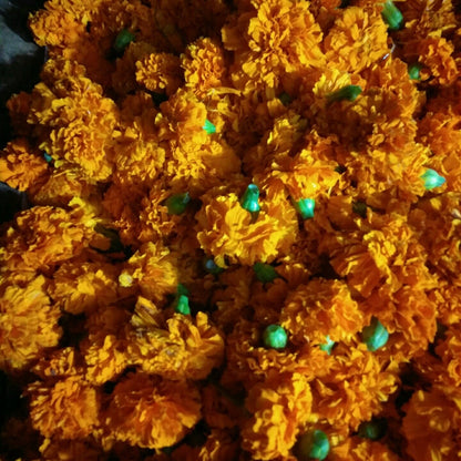 Flowers One Food Care INDIA