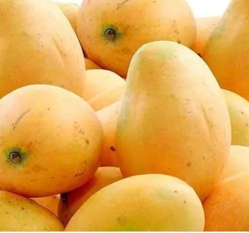 Mango (ripe)