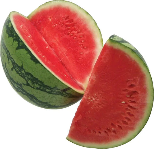Water melon Seed