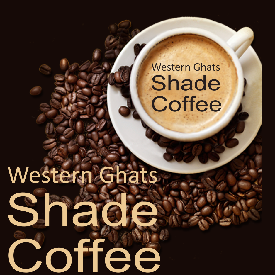 Western Ghats Shade Coffee from Wayanad - Buy 1  Get 1 FREE