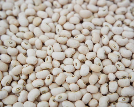  Food Care INDIA