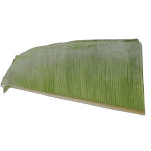 Banana Leaf