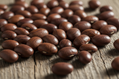 BEAN SEED Food Care INDIA