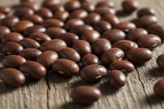 BEAN SEED Food Care INDIA