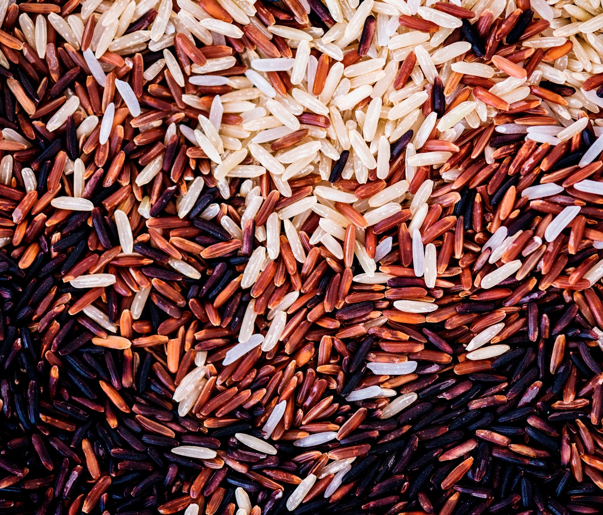 Mixed Rice 