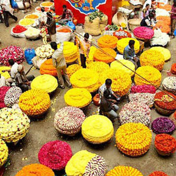 Onam Flower Pack Food Care INDIA