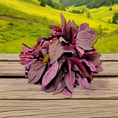 Amaranthus Red seed