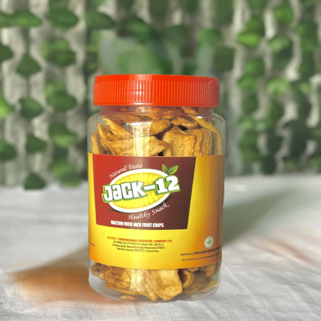 Dried Jackfruit Chips