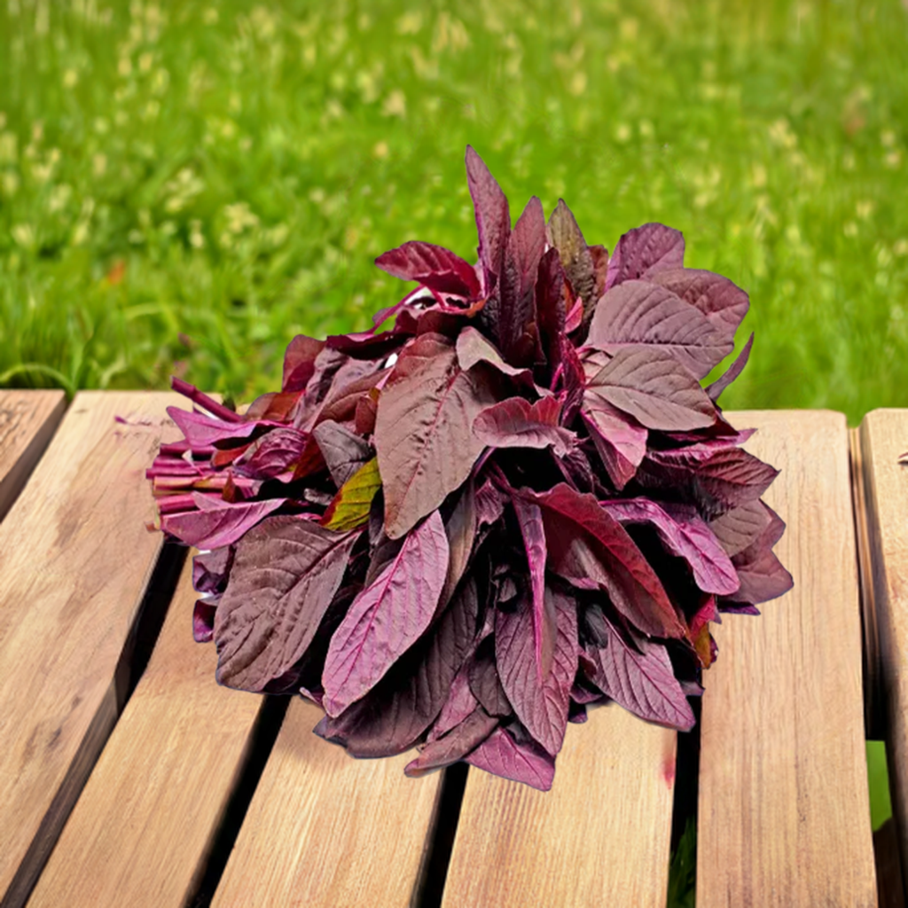 Amaranthus Red seed