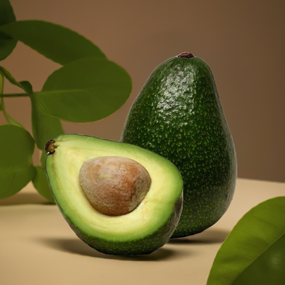 Avocado fruit 5 Kg Box