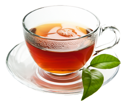 Fresh Nilgiris tea