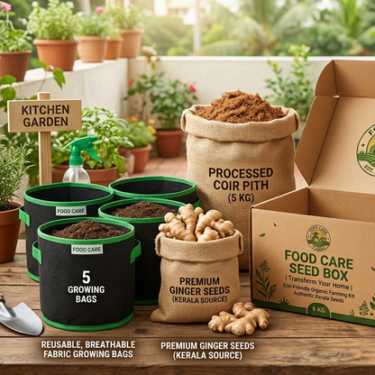 Food Care Seed Box - Free Shipping Food Care INDIA