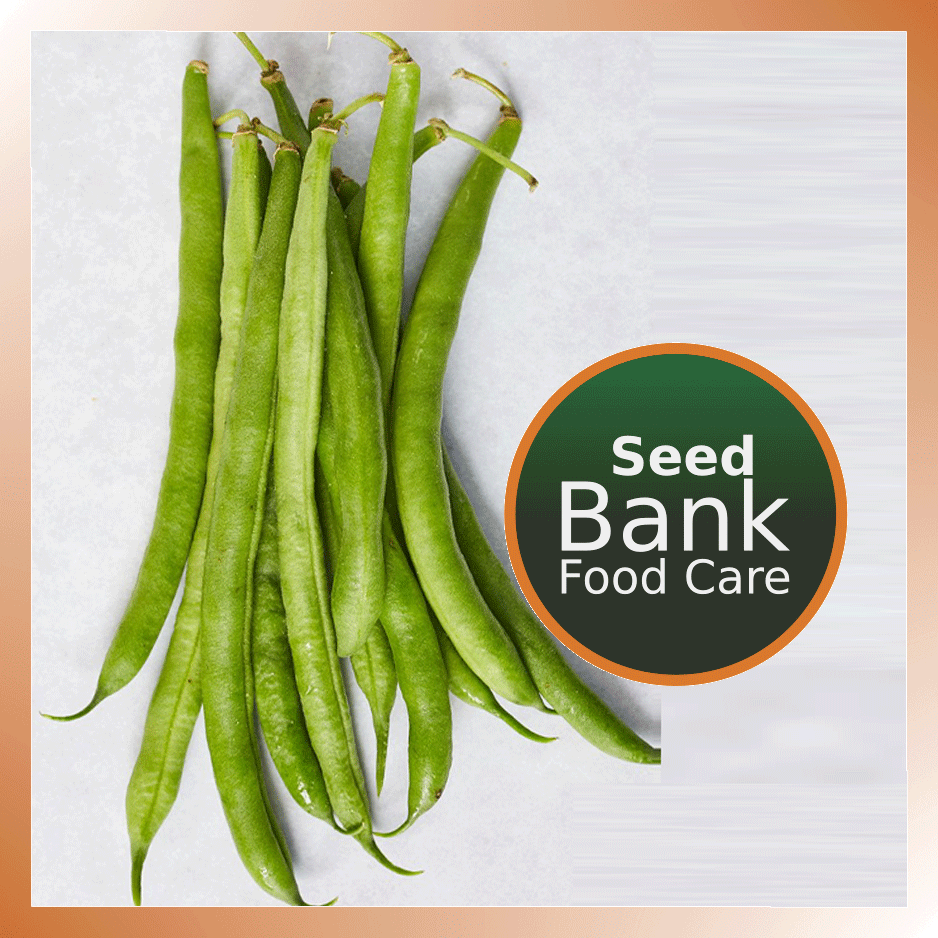 Bean seeds - Food Care INDIA