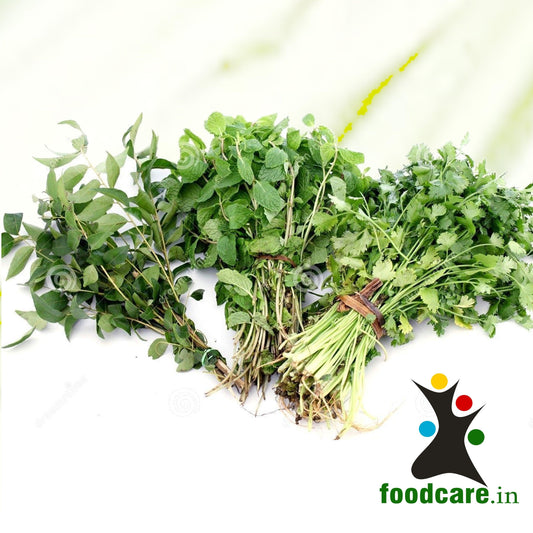 Coriander Leave(Dhaniya), Mint Leaves(Podina),Curry leaves Compo Pack 200.gm - Food Care INDIA