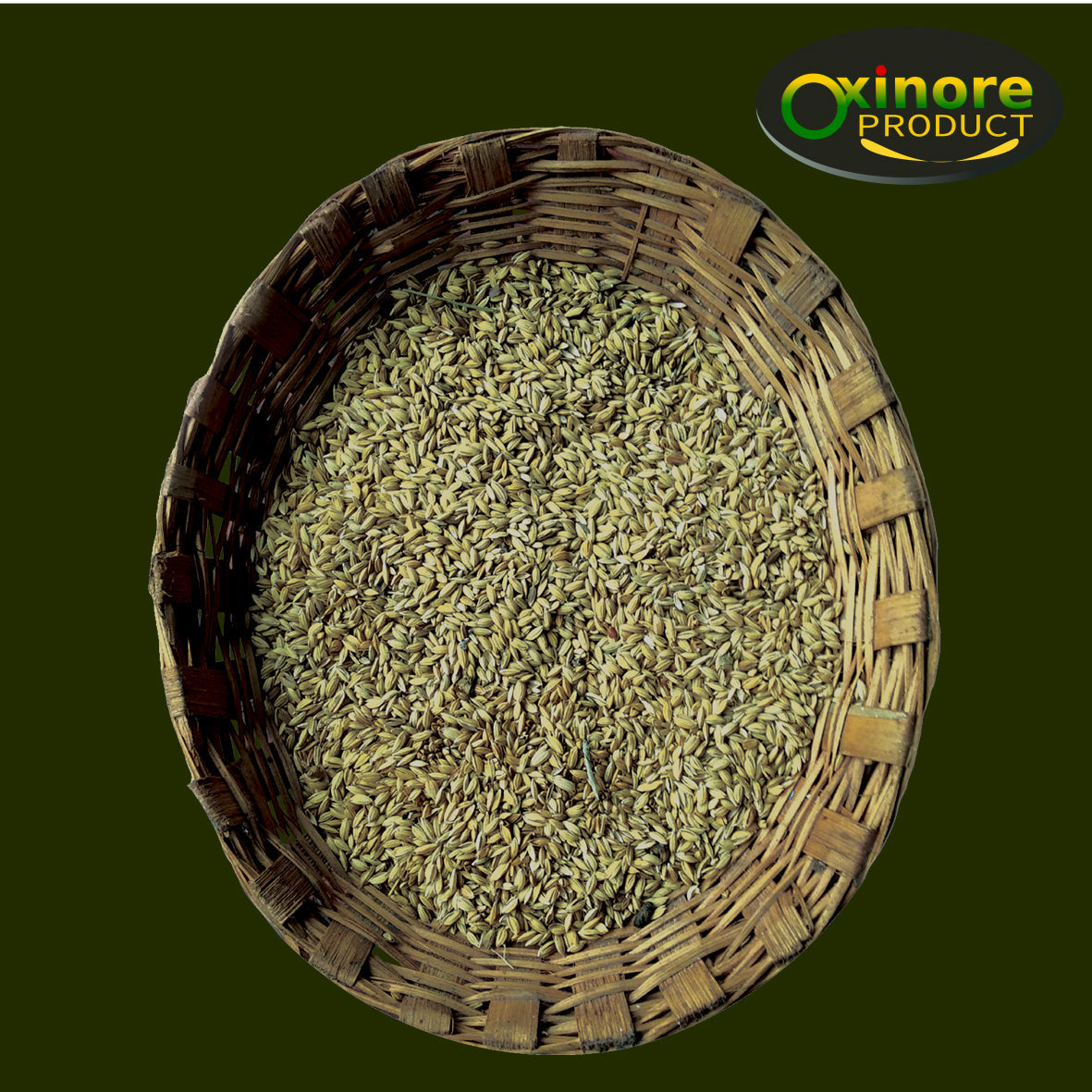 Gandhagasala Rice Seed - Food Care INDIA
