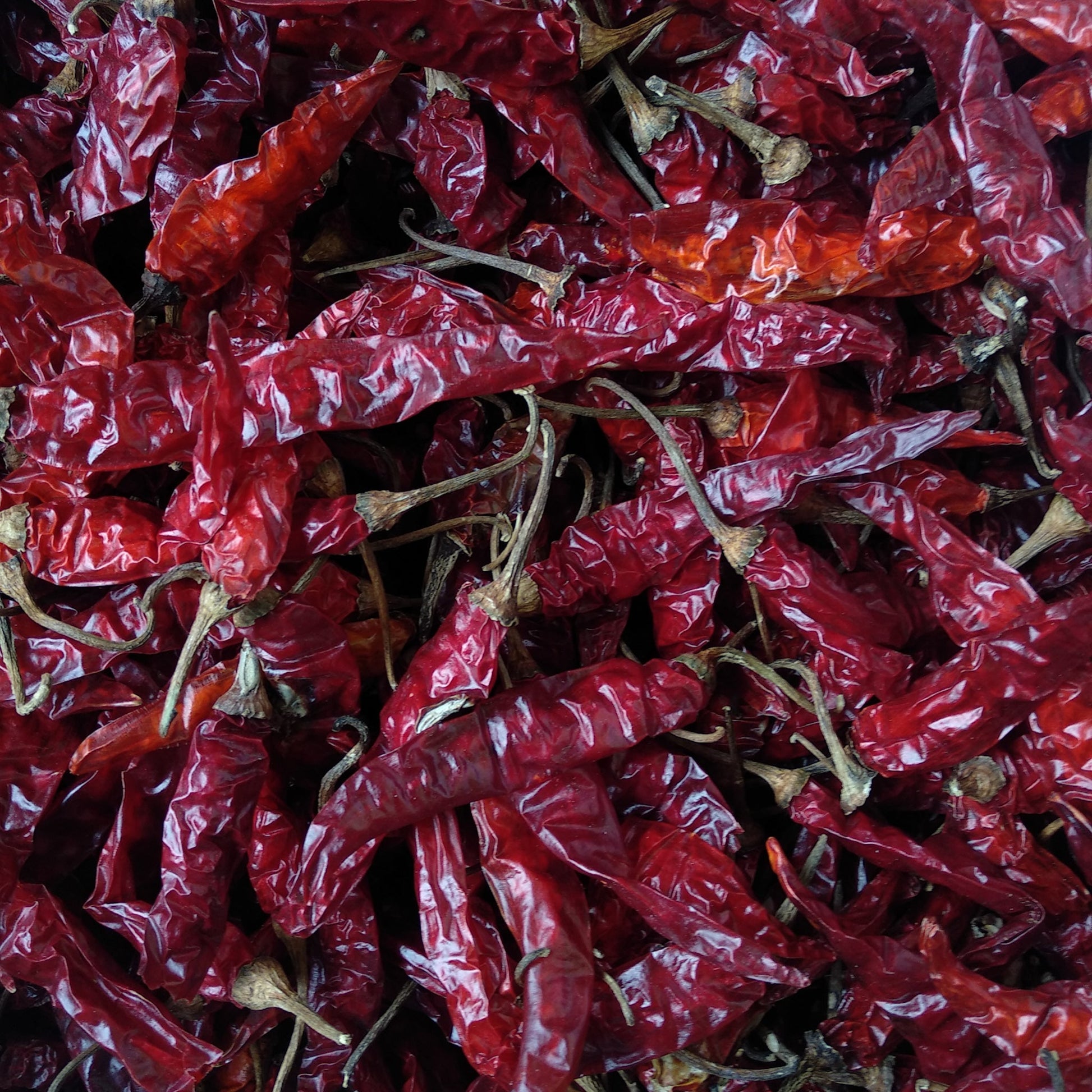 Red Chilli - Dry - Food Care INDIA