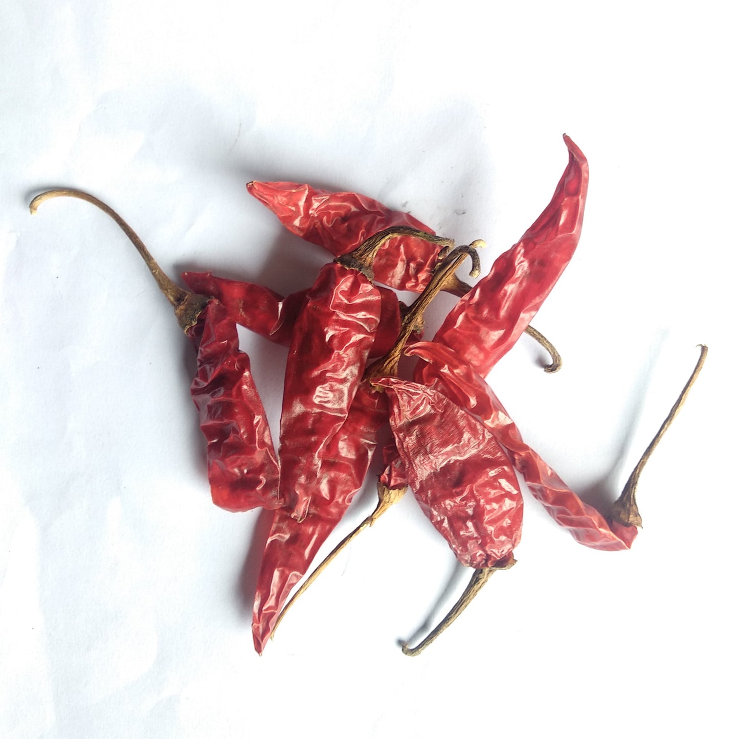 Red Chilli - Dry - Food Care INDIA